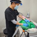 보담동물병원 - 포항시 북구 중흥로 218 | '강아지 건강검진'에 대한 A부터 Z까지 보담이 알려드립니다.