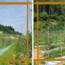 명성농장 이미지