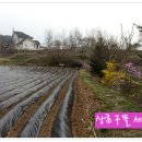 정경농장 이미지