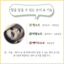 아로마퀸 이미지