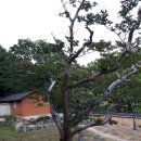 부귀사 | 팔공산 자락에 위치한 고찰, 부귀사(경북 영천시 신녕면 왕산리 1050)