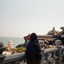 꿉스 | [일상] 2년 묵은 필름 현상 하기