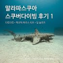 제이원하우스 | 세부 말라파스쿠아 스쿠버다이빙 ‘다킷다킷, 엑조틱 하우스 리프, 딥 슬로프’ 포인트