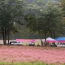 메밀정원 이미지