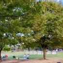 철새공원 화장실 이미지