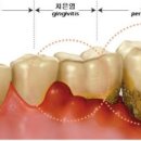 민동물병원 이미지