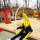 플펜션