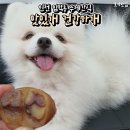 맛있개 건강하개 이미지