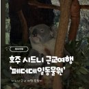 영광목장(3) | [시드니 여행] 시드니 근교 여행 ‘페더데일 동물원’ 방문 후기