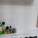 도그조아 이미지