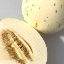 미담(MIDAM) 이미지