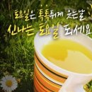 아나나스 이미지