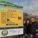 소들농장 이미지