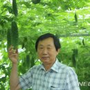 천령식품 이미지