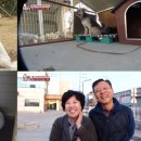 뭉치농장 이미지