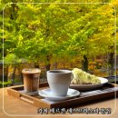 커피한잔의여유 | [팔공산 카페 베르겐 에스프레소바 본점] 가을 오후, 조용한 커피 한 잔의 여유/내돈내산 후기
