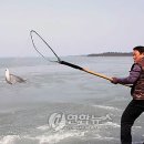 손맛 - 제주시 | 손맛