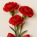 모아2단지경로당 이미지