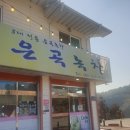 은곡다원