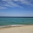 남울진농업협동조합 기성지점 | 울진 기성망양해수욕장 차박