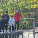 축령산 코지인 이미지