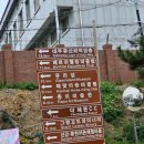 대부도 씨 아트 바다펜션 | 안산 대부도 대가족 독채 펜션 황금바다펜션, 애견동반 대부도 칼국수 엄지척까투리할매손칼국수