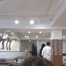 조은헤어샵 이미지