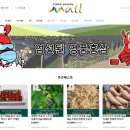 진안유통 케이에스피뉴스