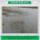 지에스발안IC주유소 이미지