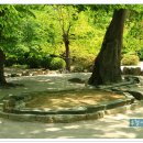 포석정 - 남구 삼산동 | 포석정