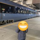 율곡자동차 | 강릉여행 아이랑 가볼만한 곳 1박2일 코스 KTX 타고 강릉 기차여행 다녀온 후기