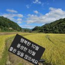 🌹10월 2일 수요일 강방 출석부🌹 이미지