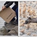 서울시 야생동물 구조관리센터 이미지