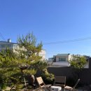 스테이고현 이미지