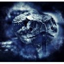 어마무시 이미지