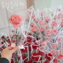 코리아세븐 봉천4호점 | 봉천동꽃집 숲길플라워 가격 위치 영업시간