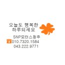 SNP모터스 이미지