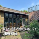 세화빌딩 | 제주 동쪽 숙소 가성비 뚜벅이 세화리움 1인실 내돈내산