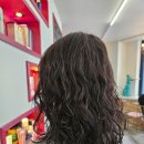 빵빵한 하루 이미지