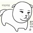 송이네 집 이미지