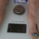정평대박점핑