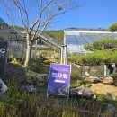 신안1004주유소 이미지