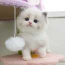 연제구-045 이미지