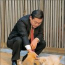강아지사랑 이미지