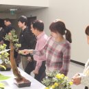 동안구청-3 이미지