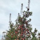 종택농장 이미지