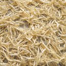 대광유통 이미지