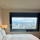 스카이힐비즈니스호텔 | 신라호텔 비즈니스 디럭스룸, 신라호텔 숙박 후기