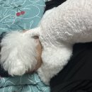 김가네창평국밥 | 내려와.