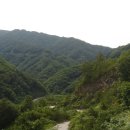 평화바이크